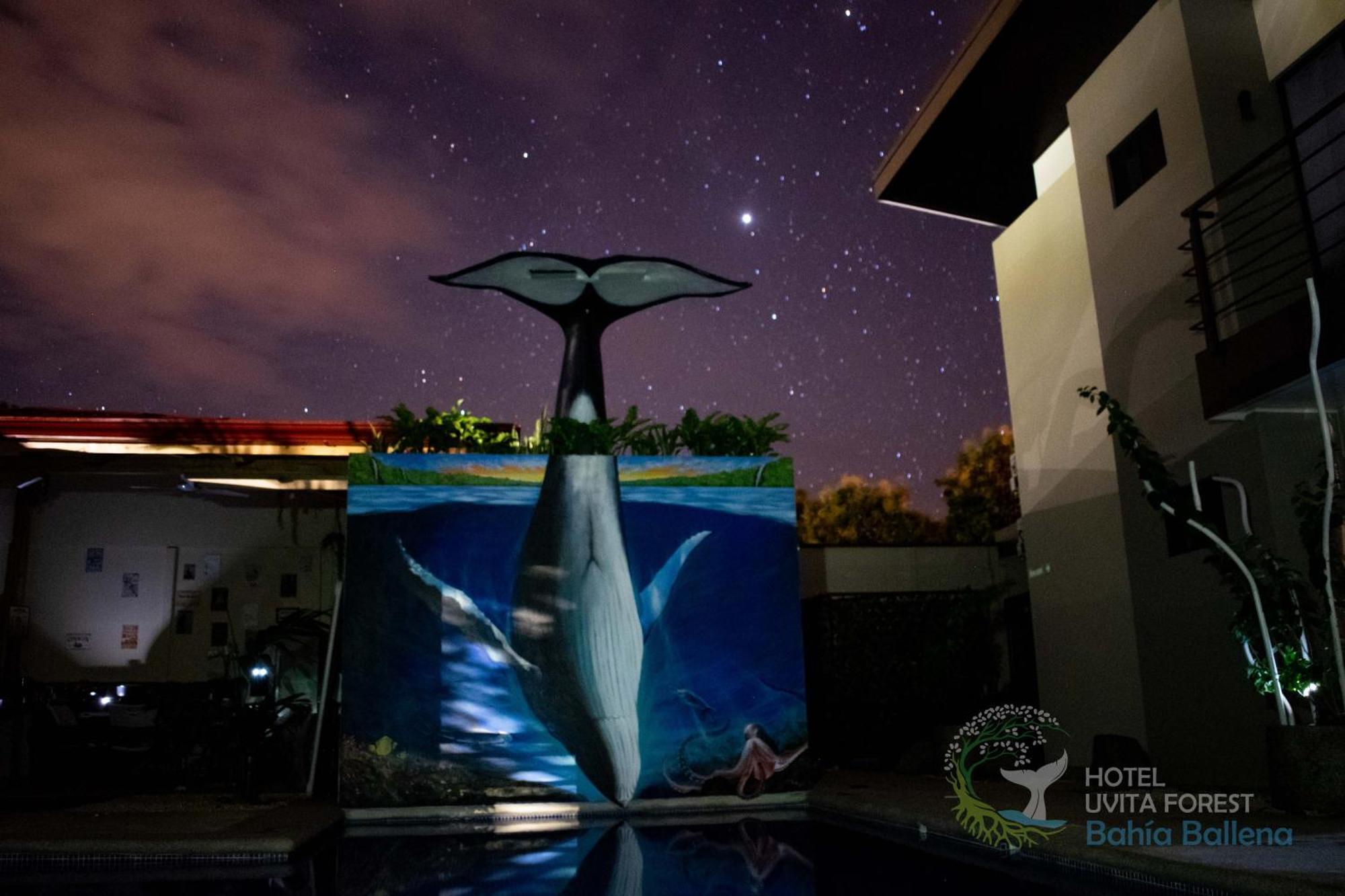 Hotel Uvita Forest المظهر الخارجي الصورة